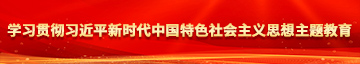 爱操B嫩艹在线学习贯彻习近平新时代中国特色社会主义思想主题教育